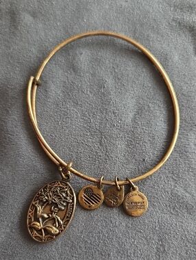 Alex and Ani Oval "Sister" Expandable Bangle In Brass